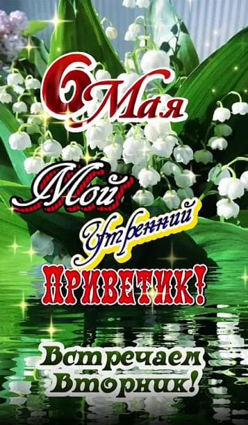 Красивая весенняя картинка с ландышами 6-го мая во Вторник! Утренний Приветик!