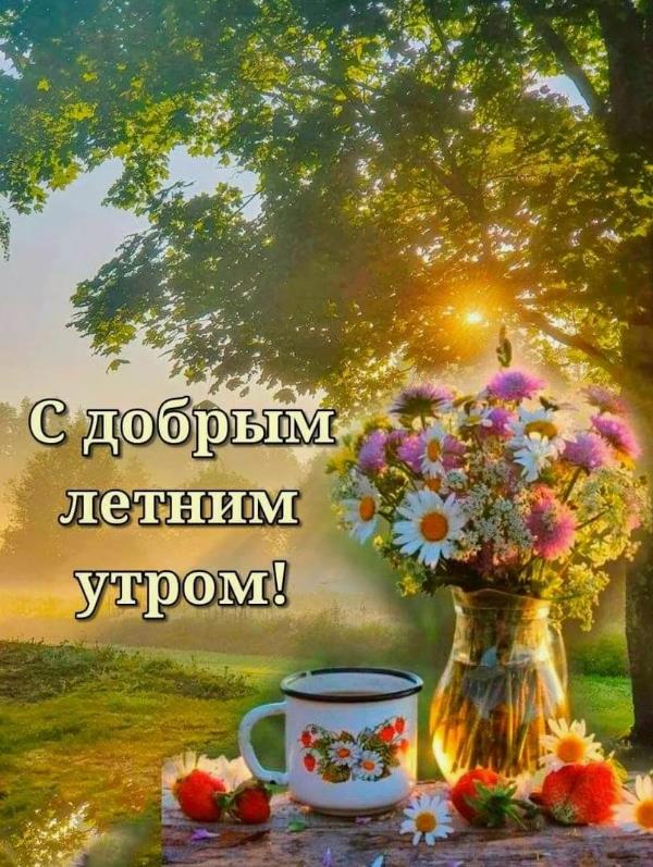 Букет цветом в это доброе летнее утро!
