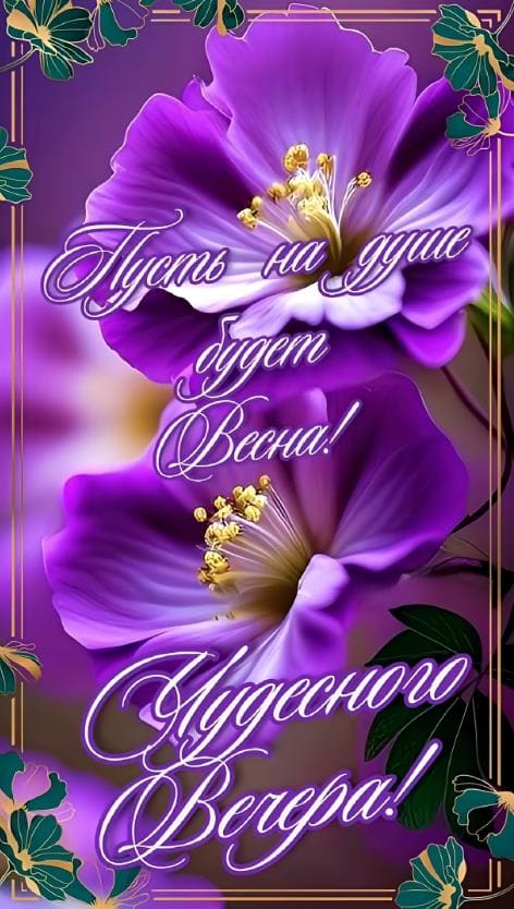 Чудесного вечера! Пусть на душе будет весна!