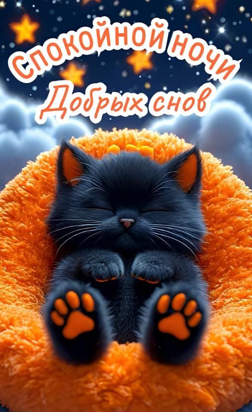 Пожелание спокойной ночи и добрых снов - открытка с котёнком