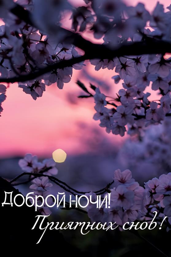 Доброй ночи и приятных сов - красивая картинка