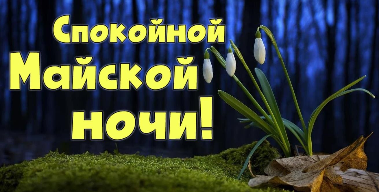 Новая картинка спокойной Майской ночи