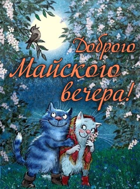 Новая картинка доброго Майского вечера с котами