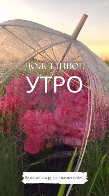 Красивая открытка дождливое утро