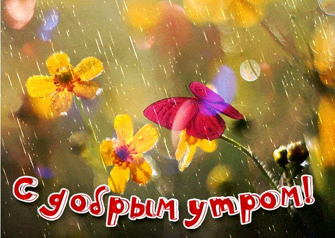 Красивая гифка с добрым дождливым утром