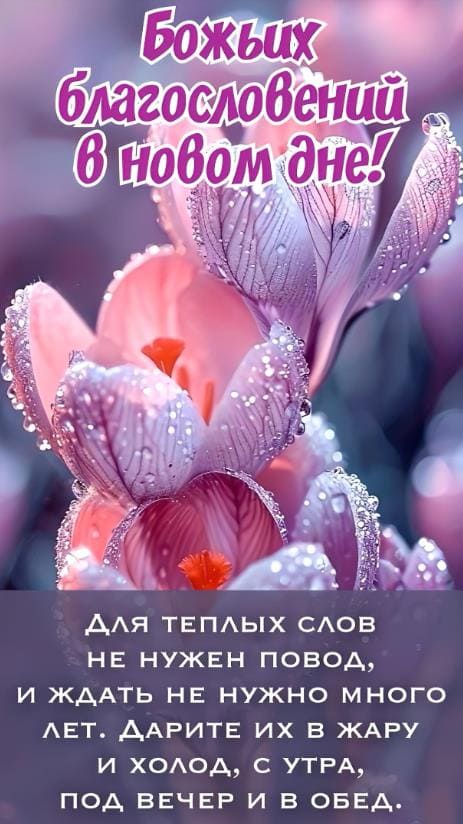 Божьих благословений в новом дне! - открытка с пожеланиями