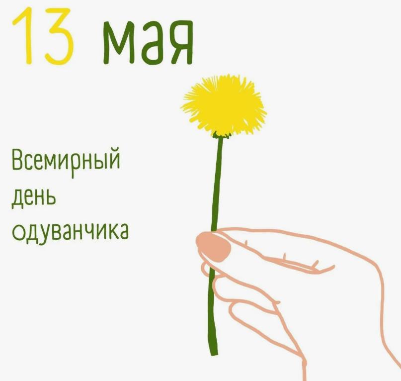 С днём одуванчика - 13 Мая!