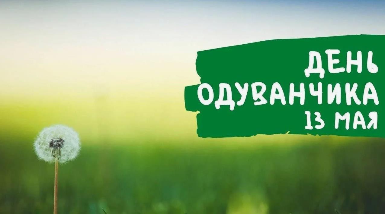 Все же в детстве любили дуть на одуванчки? Но многие ли знали о таком необычном празднике? Настало время это исправить! С днём одуванчика, друзья!