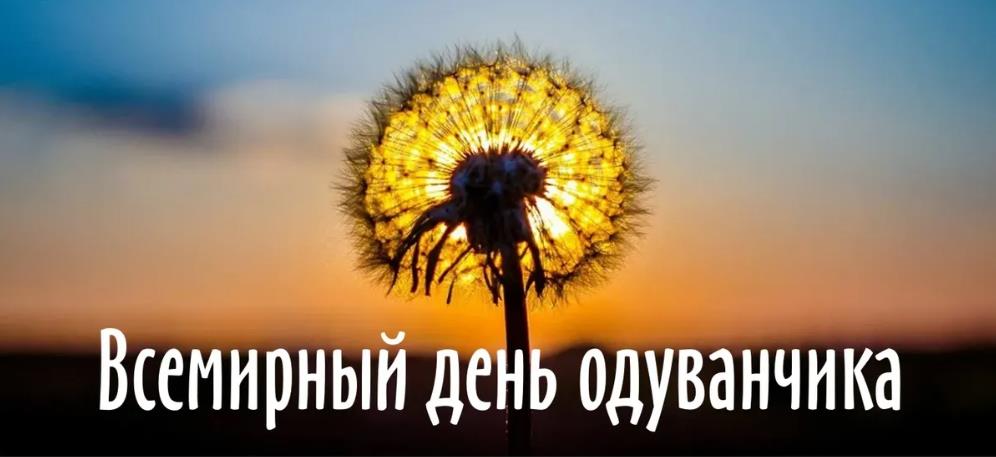 Красивая картинка с днём одуванчика 13 Мая