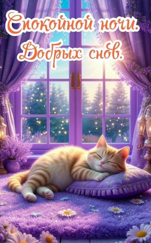 Спокойной ночи! Добрых снов!