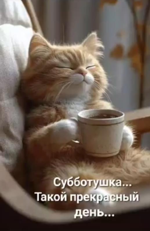 Субботушка, такой прекрасный день...!