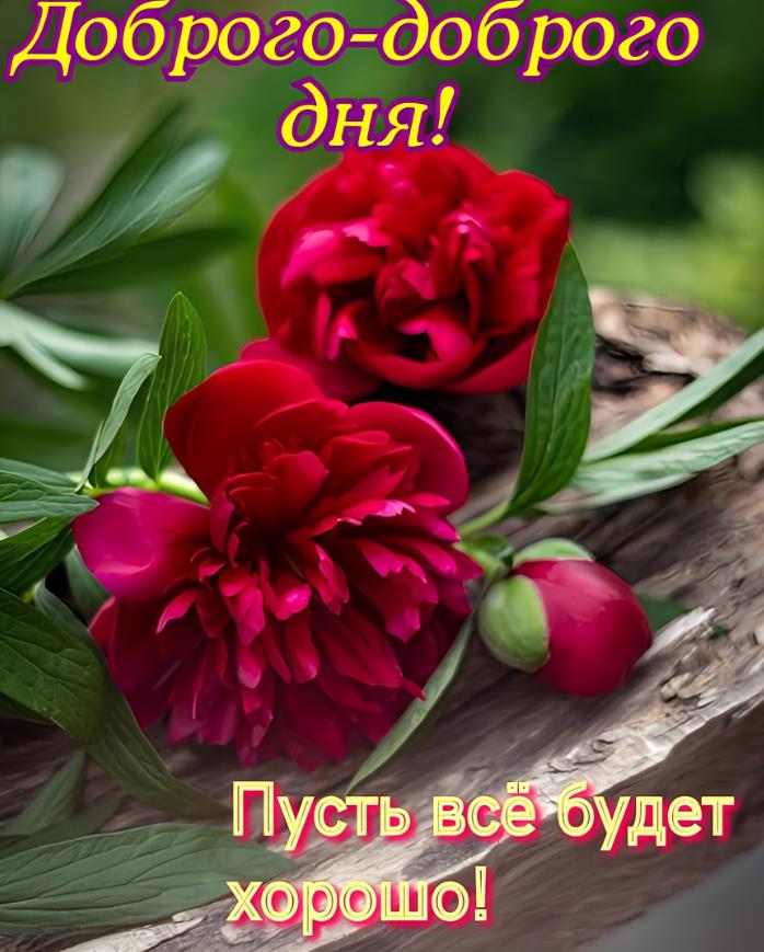 Открытка доброго дня! Пусть всё будет хорошо!