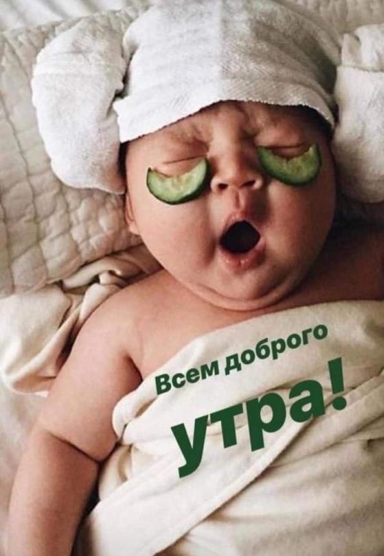 Смешная картинка всем доброго утра!