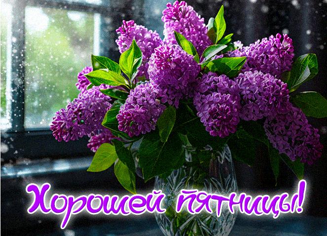 Гифка с сиренью и пожеланием Хорошей Пятницы