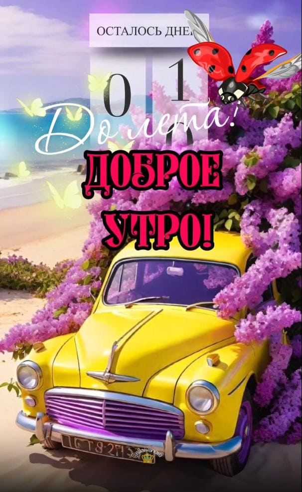 Доброе утро! До лета остался 1 день! - картинка на телефон