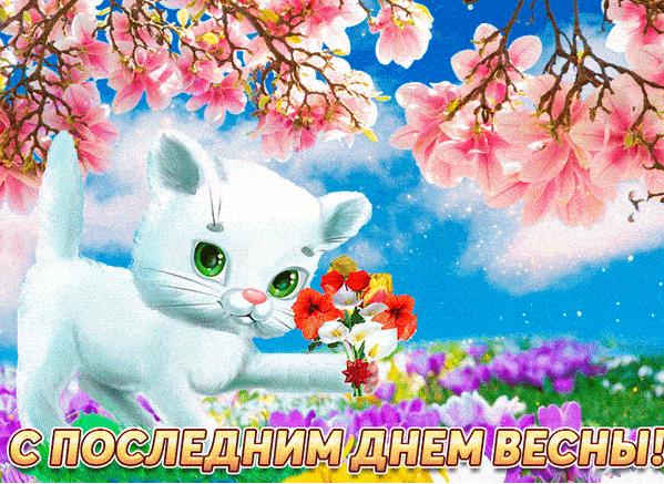 Красивая гифка с последним днём весны с кошкой