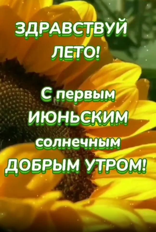Здравствуй лето! С первым Июньским солнечным добрым утром! - открытка