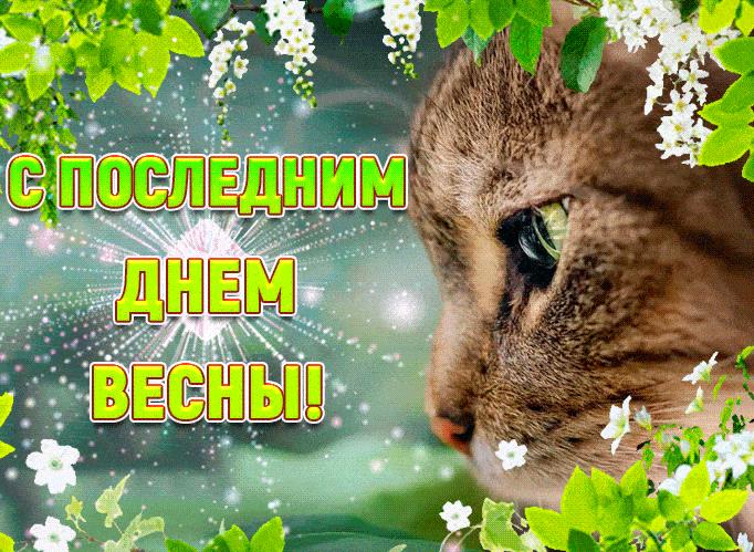 Прикольная гифка с последним днём Весны!
