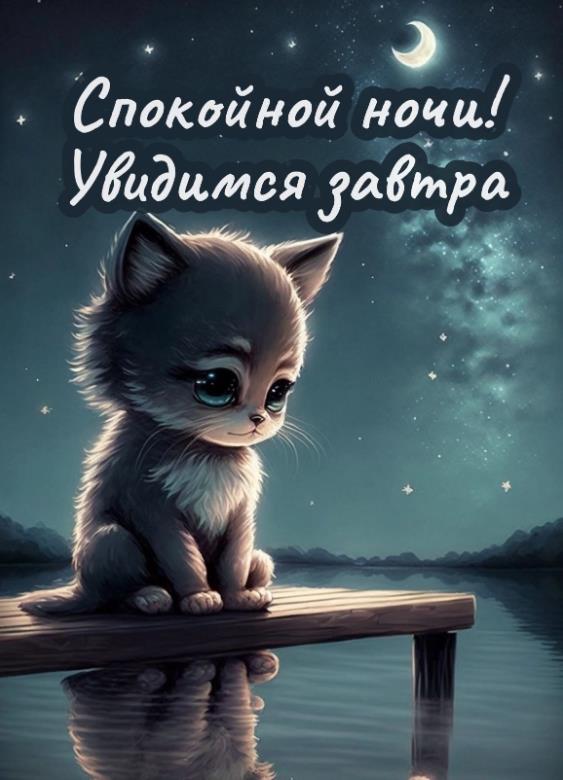 Увидимся завтра! Спокойной ночи! - открытка с котиком