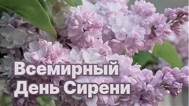 Открытка Всемирный день сирени