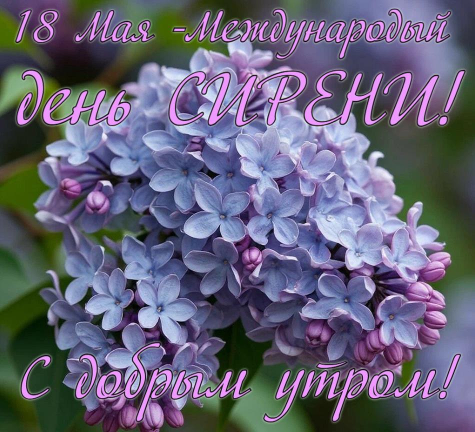 Картинка с добрым утром! 18 Мая - Международный день Сирени!
