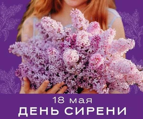 Нежная картинка для девушки ко дню сирени 18 Мая