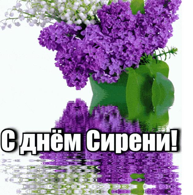 Красивая гифка с днём Сирени!