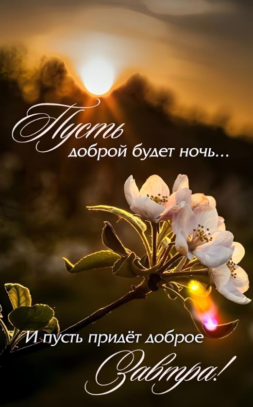 Пусть доброй будет ночь! И доброе будет завтра!