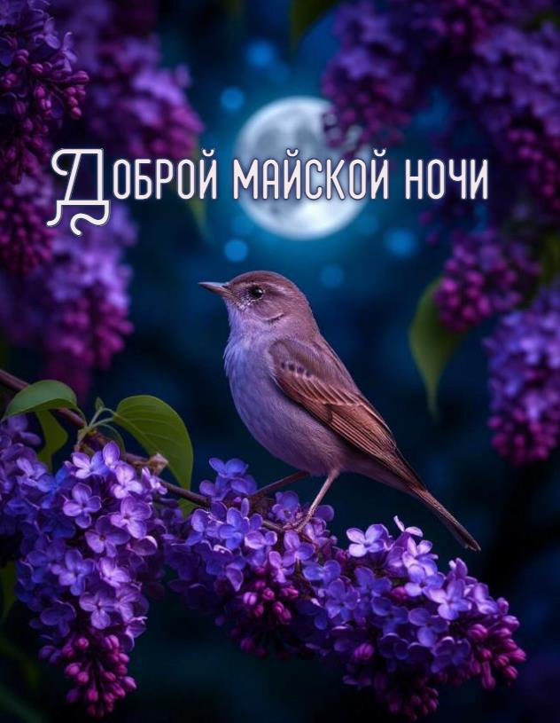 Доброй майской ночи - новая открытка 2025