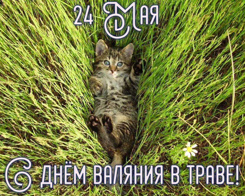 Смешная открытка 24 мая - с днём валяния в траве