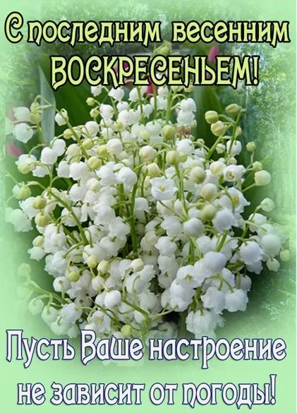 С последним весенним Воскресеньем! - открытка с пожеланием