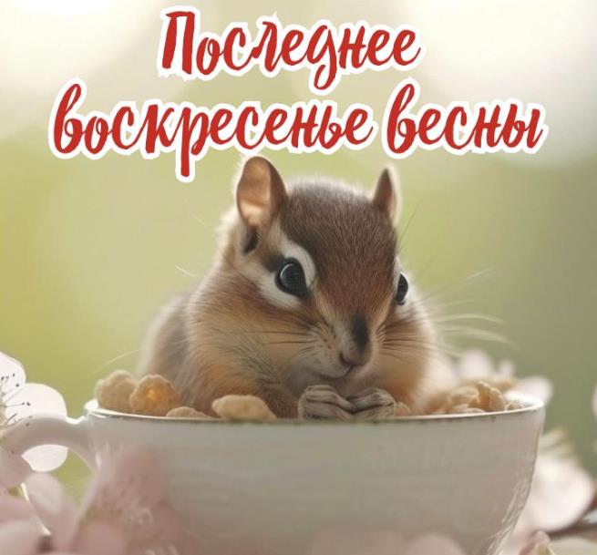 Последнее воскресенье весны! - прикольная картинка с бурундуком