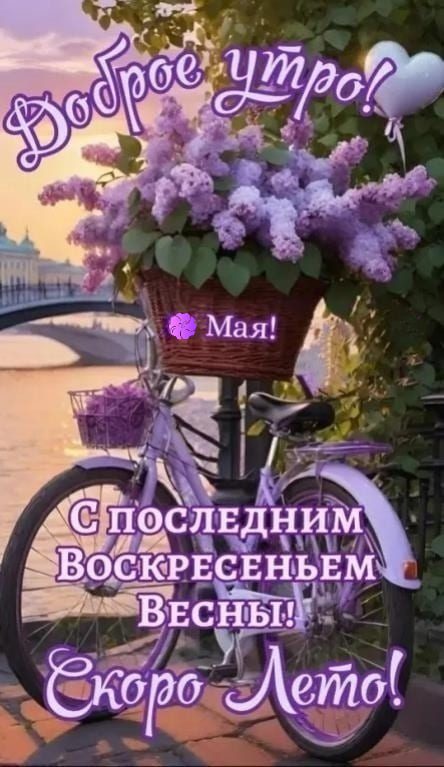 Красивая картинка с корзиной сирени на велосипеде и надписью : "Доброе утро Мая! С последним воскресеньем Весны! Скоро лето!".