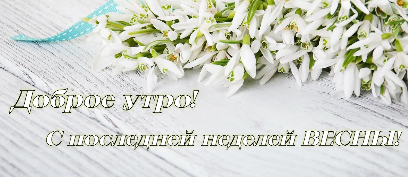Доброе утро! С последней неделей Весны! - открытка на телефон