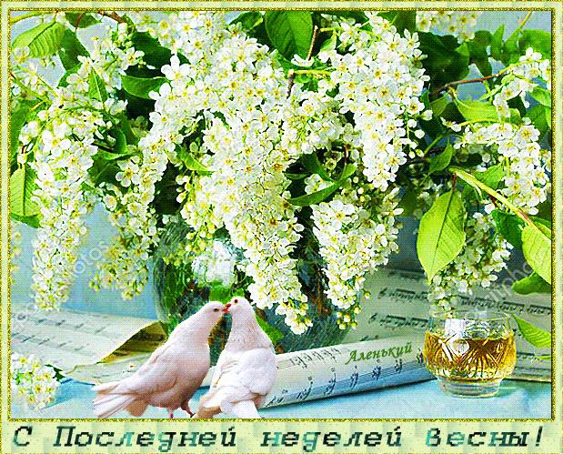 Блестящая анимация с последней неделей весны!