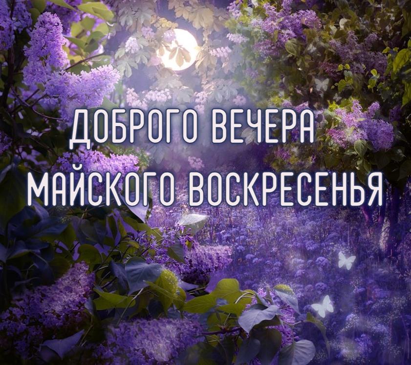 Картинка доброго вечера майского воскресенья