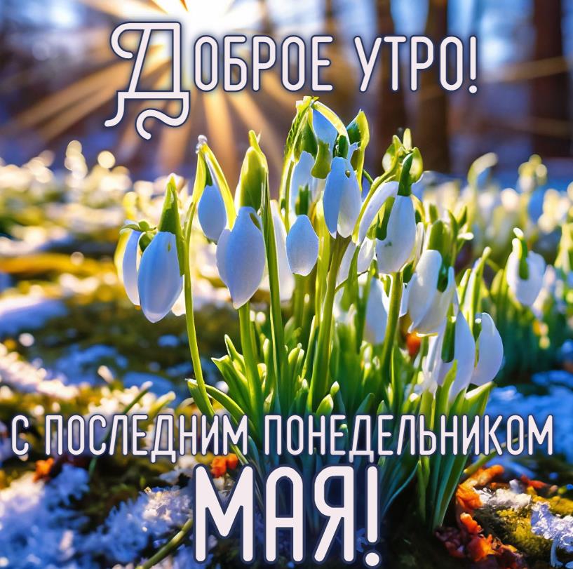 Доброе утро! С последним понедельником Мая! - открытка с подснежниками