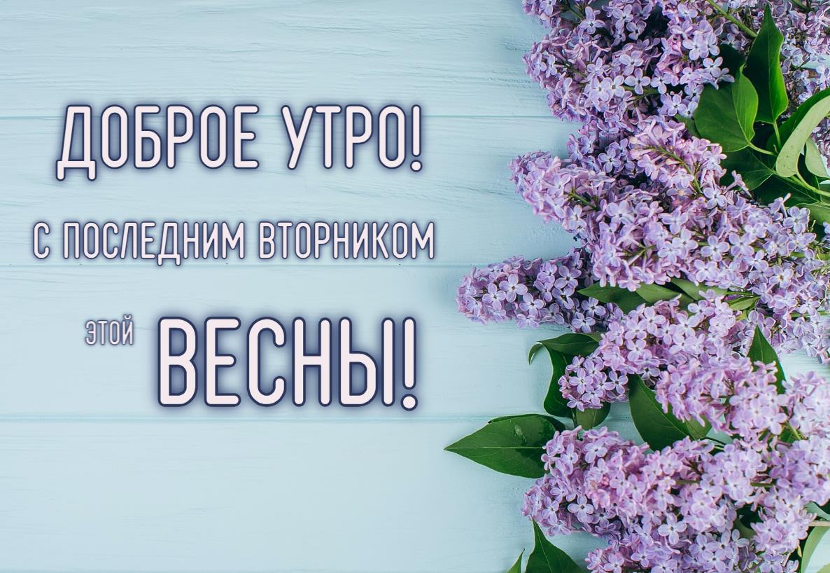 Красивая открытка доброе утро! С последним вторником этой Весны!