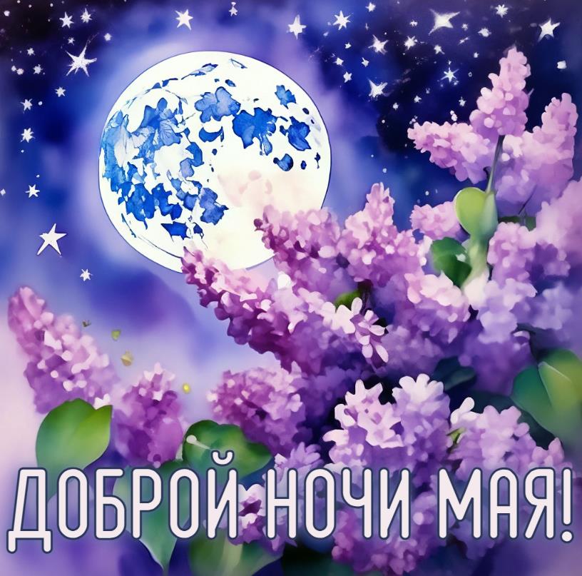 Открытка доброй ночи Мая - с сиренью
