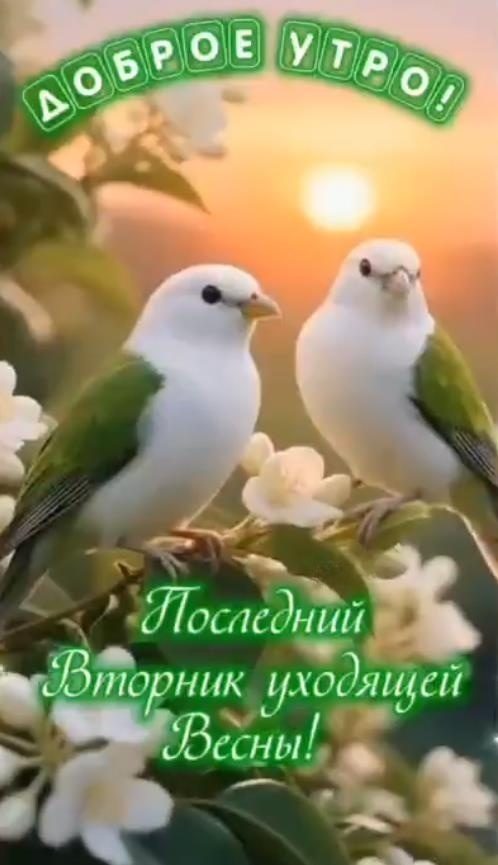 Картинка доброе утро! Последний Вторник уходящей Весны!