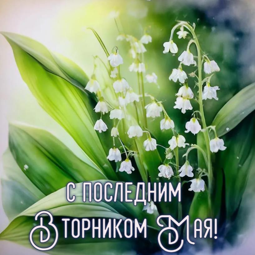 С последним Вторником Мая