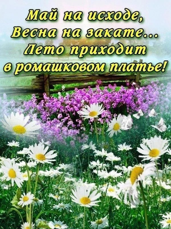 Картинка Май на исходе, Весна на закате...