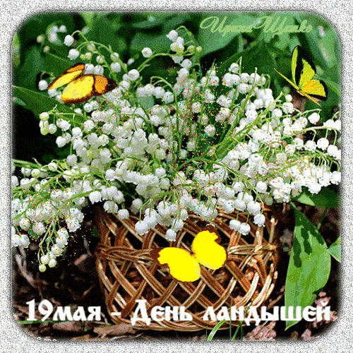 Гифка 19 Мая - день Ландышей