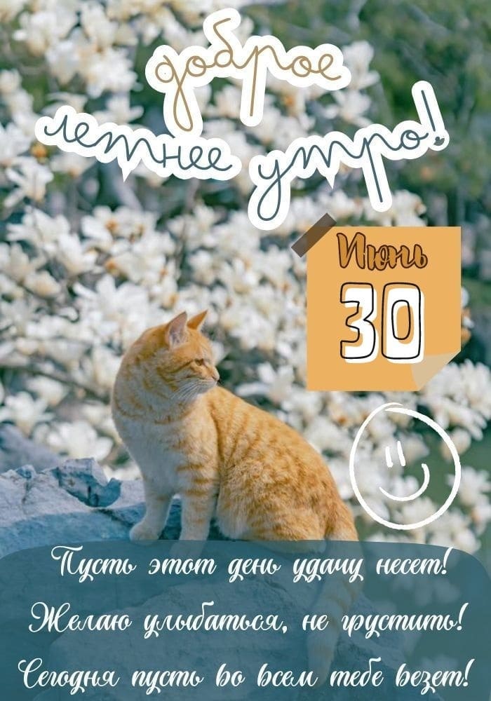 Открытка желаю доброго летнего утра 30 Июня