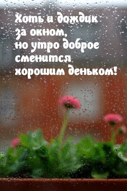 Хоть и дождик за окном, но утро доброе сменится хорошим деньком!