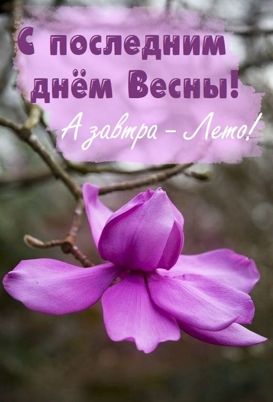 А завтра Лето! С последним днём весны! - картинка с надписью
