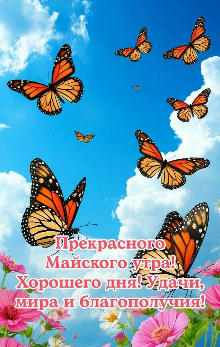 Прекрасного Майского утра! Хорошего дня! Удачи, мира и благополучия!