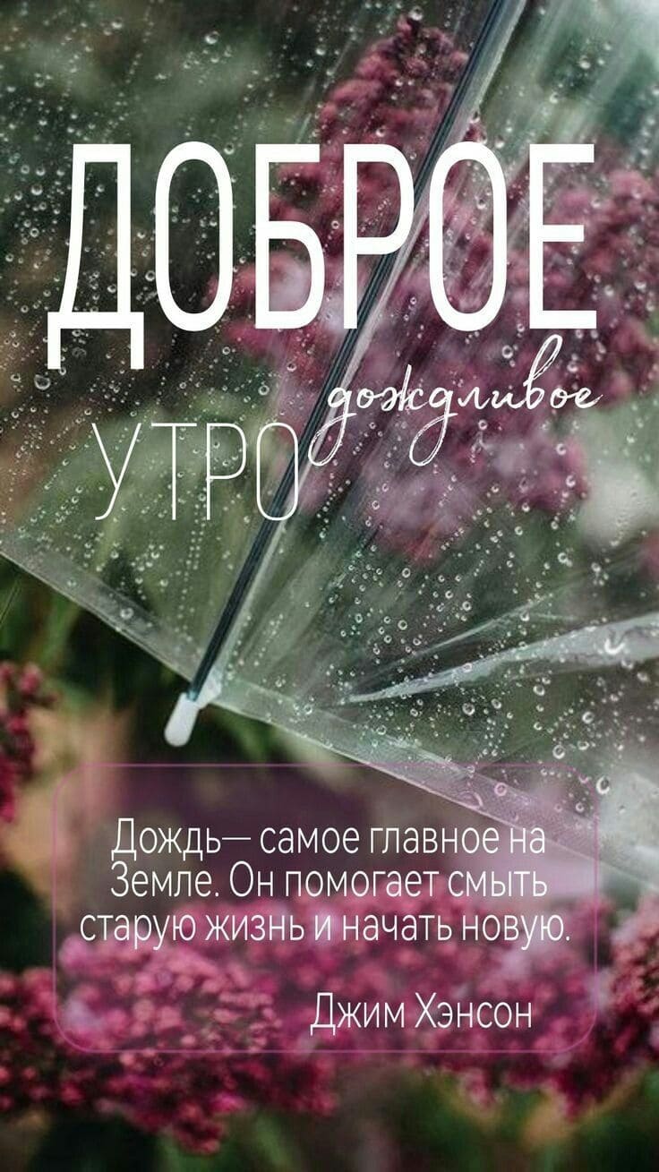 Доброе дождливое утро - картинка со смыслом