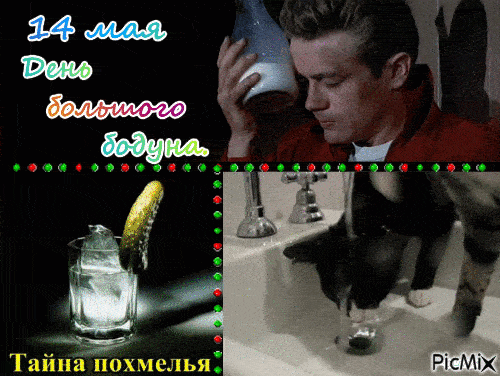 Гифка с днём большого бодуна 14 Мая