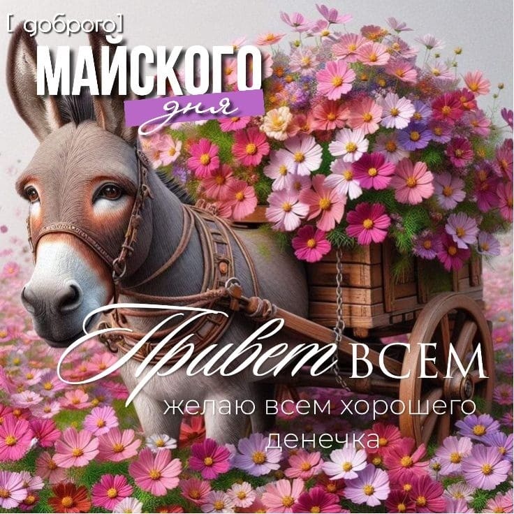 Прикольная картинка доброго майского дня! Привет всем!